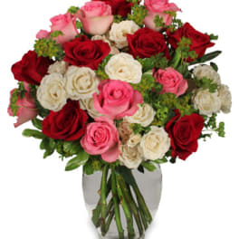 Romance of Roses