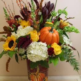 fields of pumpkins