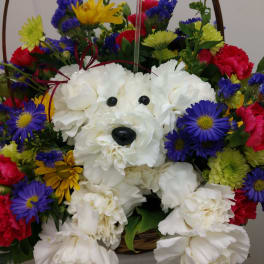a-DOG-able in a Basket