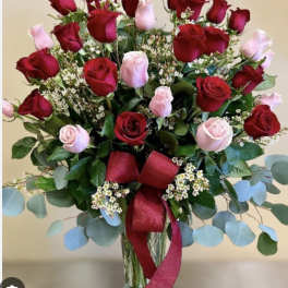 36 long stem, red and pink Roses