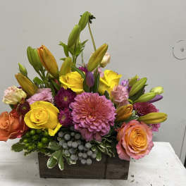 Spring Delight