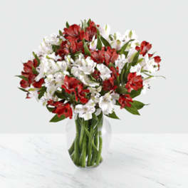 Valentine Peruvian Lilies