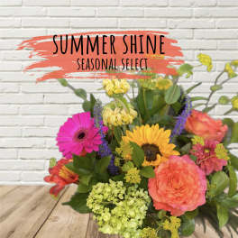 Bright mixed bouquet with gerbera daisies, roses, and hydrangea