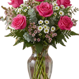 Pink Roses Half Dozen