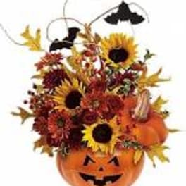 A Batty Pumpkin