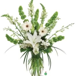 Sweet Simplicity