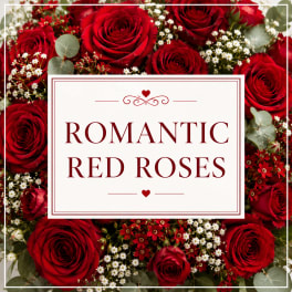 Romantic Red Roses