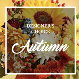 Designer’s Choice - Autumn