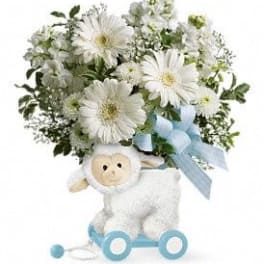 Sweet little Lamb - Baby blue