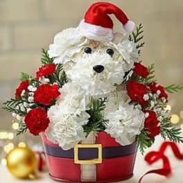 Xmas Doggy