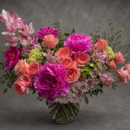 Peony Bliss