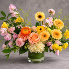 Spring Melody