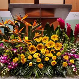 PODIUM ARRANGEMENT 131