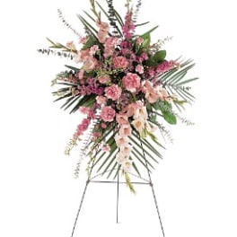 Pink Promise Spray [TF198-1]
