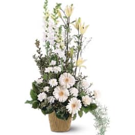 White Impressions [TF194-2]