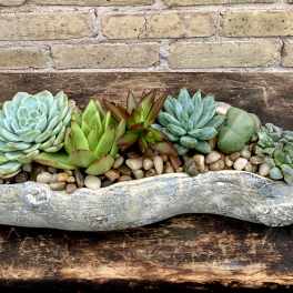 Succulent arrangement in a rustic stone planter with pebbles