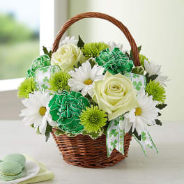 Basket of white roses, daisies, and green carnations with shamrock ribbon