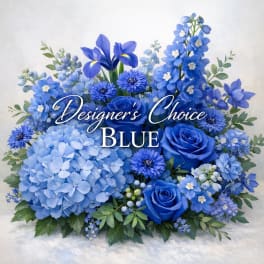 Designer's Choice Blue