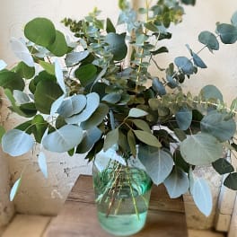 Eucalyptus stems in a clear glass vase