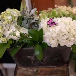 White and pale green hydrangeas arranged in a dark bowl