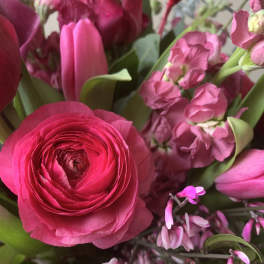 Pink tulips and ranunculus in a close-up bouquet