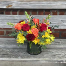 Fall Harvest