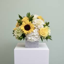 Yellow and white flower arrangement in a gray square vase