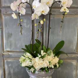 White orchids and cream roses in a silver beaded container