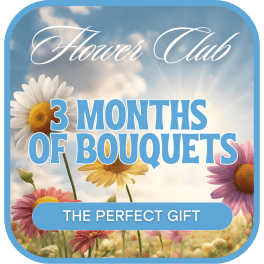 Flower Club graphic with daisies and the text 3 months of bouquets