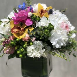 World of beauty