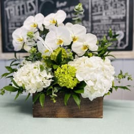 White orchids and hydrangeas in a wooden box arrangement