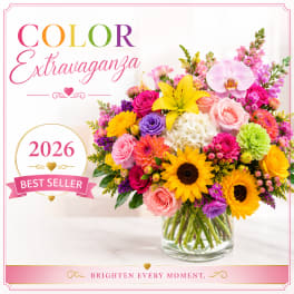 Color Extravaganza