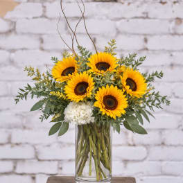Sunflower arrangement in a clear glass vase with white accent blooms