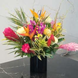 Tropical Sunset (TWO DAY ADVANCE ORDER)