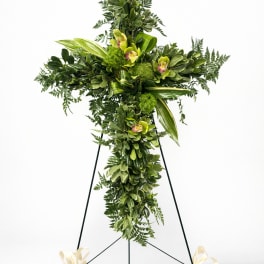 Graceful Green Cross