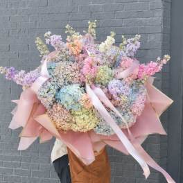 COTTON CANDY DREAMS