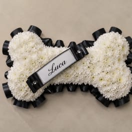 Eternal Paw Tribute Black