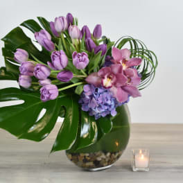 Violet