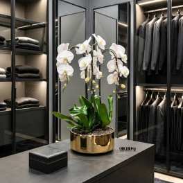 White Cascading Orchid Arrangement – Triple Swan Orchid