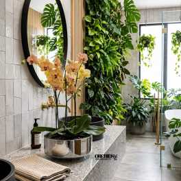 Potted orchids with pale pink blooms on a bathroom counter
