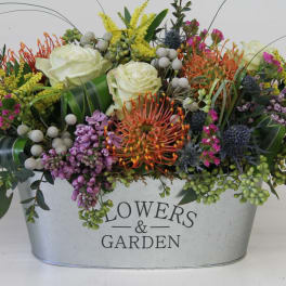 Flowers & Garden