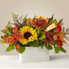 Mixed bouquet of sunflowers, orange roses, and lilies in a white box