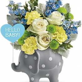 Teleflora's Hello Sweet Baby - Blue