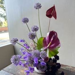 Sarang (Gallery Photo)