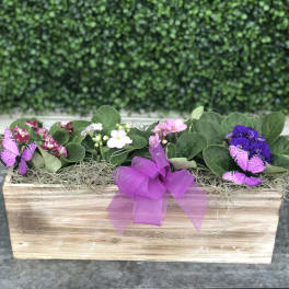 Rectangular wooden planter with small purple and white flowers and butterfly picks
