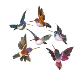 Six colorful hummingbird figurines on a white background