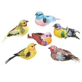 Set of colorful decorative bird ornaments with feathers