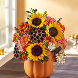 Pumpkin n’ Posies