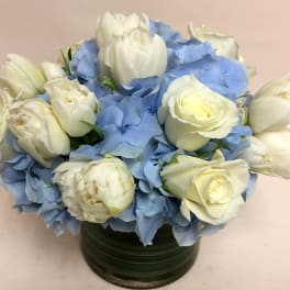 White roses and blue hydrangeas arranged in a dark green vase