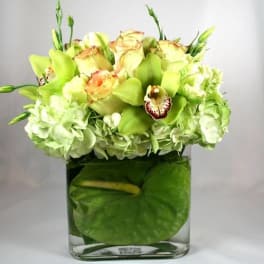 Green and white floral arrangement in a square glass vase